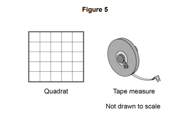 Diagram labelled Figure 5 showing a square grid quadrat and a circular reel tape measure with extended tape, with note ‘Not drawn to scale’.