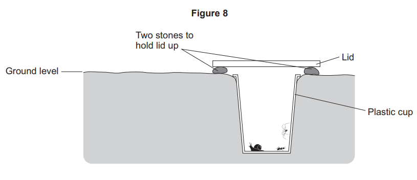 Diagram of a pitfall trap: a plastic cup buried to ground level containing small animals, covered by a raised lid supported on two stones