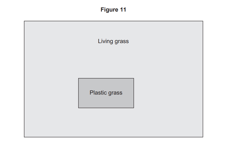 Diagram labelled Figure 11 showing a large rectangle of living grass containing a smaller central rectangle labelled plastic grass.