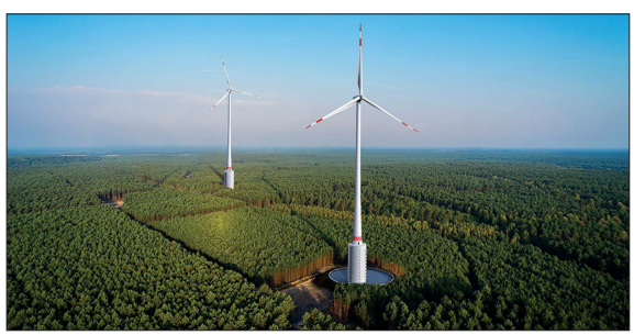 Two tall wind turbines rise above a dense green forest under a clear blue sky, highlighting renewable energy infrastructure within natural woodland