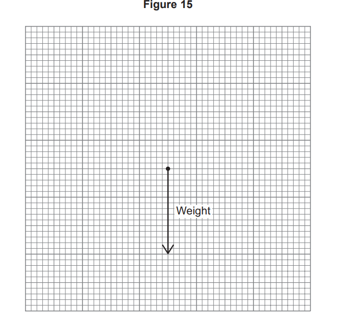 Figure 15: grid with a single vertical arrow starting at a point and pointing downwards, labelled “Weight” to indicate the direction of gravitational force