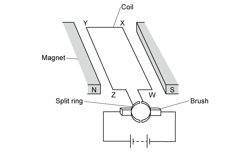 Rectangular coil between two bar magnets. Coil corners labelled Y (top-left), X (top-right), Z (bottom-left), W (bottom-right). Horizontal top edge YX and bottom edge ZW each have length w; vertical sides YZ and XW each have length l. A bar magnet with N pole faces the coil from the left; another with S pole faces it from the right — so the magnetic field points horizontally from N to S, parallel to YX and ZW. The coil is connected to a battery via a split-ring commutator and brushes.