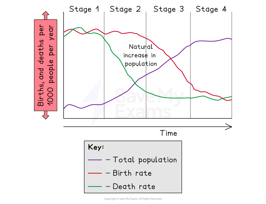 Graph of demographic transition model showing stages 1–4, with birth and death rates falling over time as total population rises then levels off.