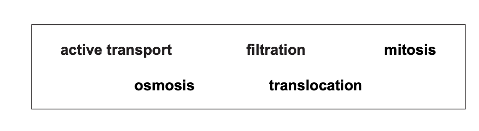 Diagram showing five bold biology terms spaced out: active transport, filtration, mitosis, osmosis and translocation
