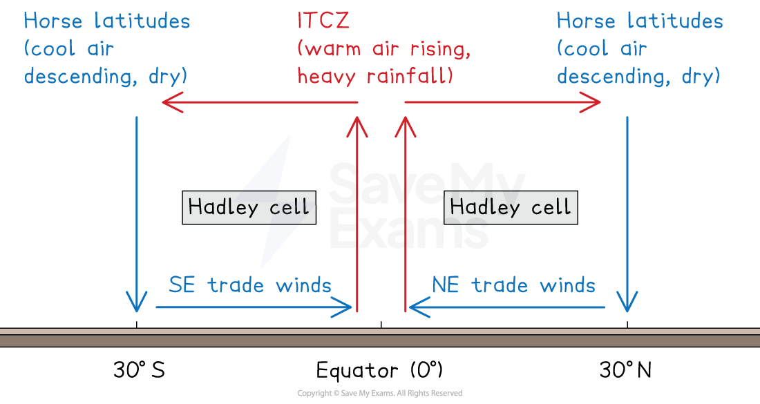 Diagram of Hadley cells from 30°S to 30°N showing horse latitudes, ITCZ with rising moist air and heavy rain, and SE and NE trade winds towards the Equator
