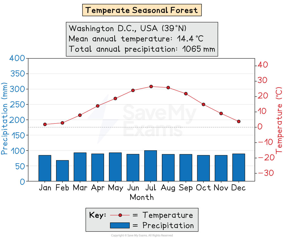 Climate graph for Washington DC temperate seasonal forest, showing warm summers, cold winters, and fairly even monthly rainfall around 80–100 mm.