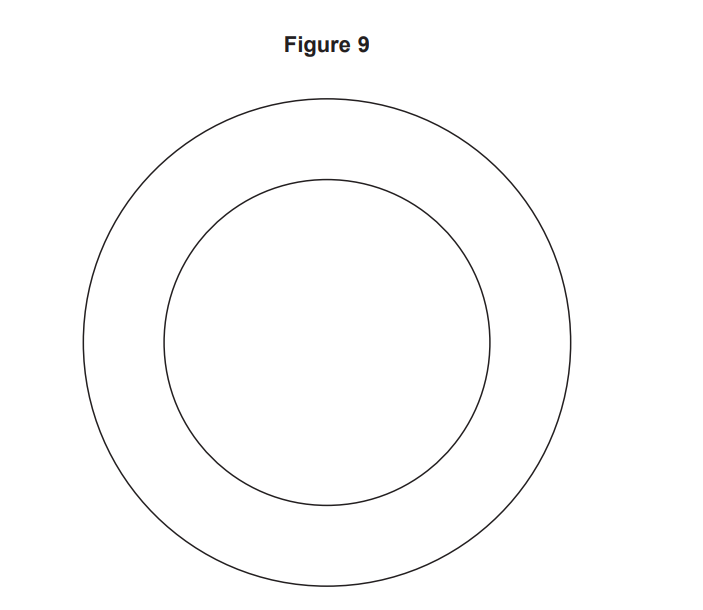 Figure 9: simple black outline diagram showing two concentric circles forming a ring shape on a plain white background