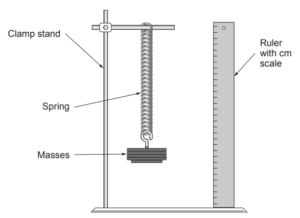 Diagram of a clamp stand holding a vertical spring with hanging masses, next to an upright centimetre ruler used to measure the spring’s extension