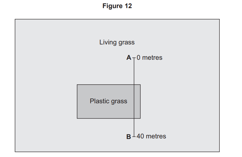 Diagram of a plastic grass rectangle within a larger living grass area, with a vertical line from point A at 0 metres to point B at 40 metres crossing both.
