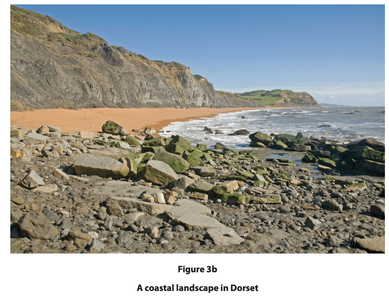 A coastal landscape in Dorset showing a beach and cliffs.