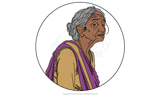 Image of Ila Das from Fire on the Mountain: she is an elderly Indian woman with grey hair in a bun, wearing a mustard blouse and purple sari, looking sideways with a thoughtful expression