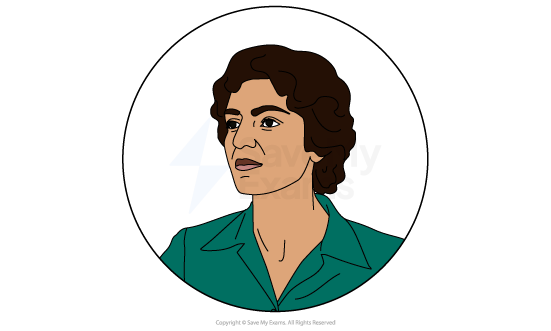 Image of the Mother (Taji) from Persepolis: she is a serious-looking person with short wavy brown hair, wearing a teal collared shirt, shown from the shoulders up in a circular frame.