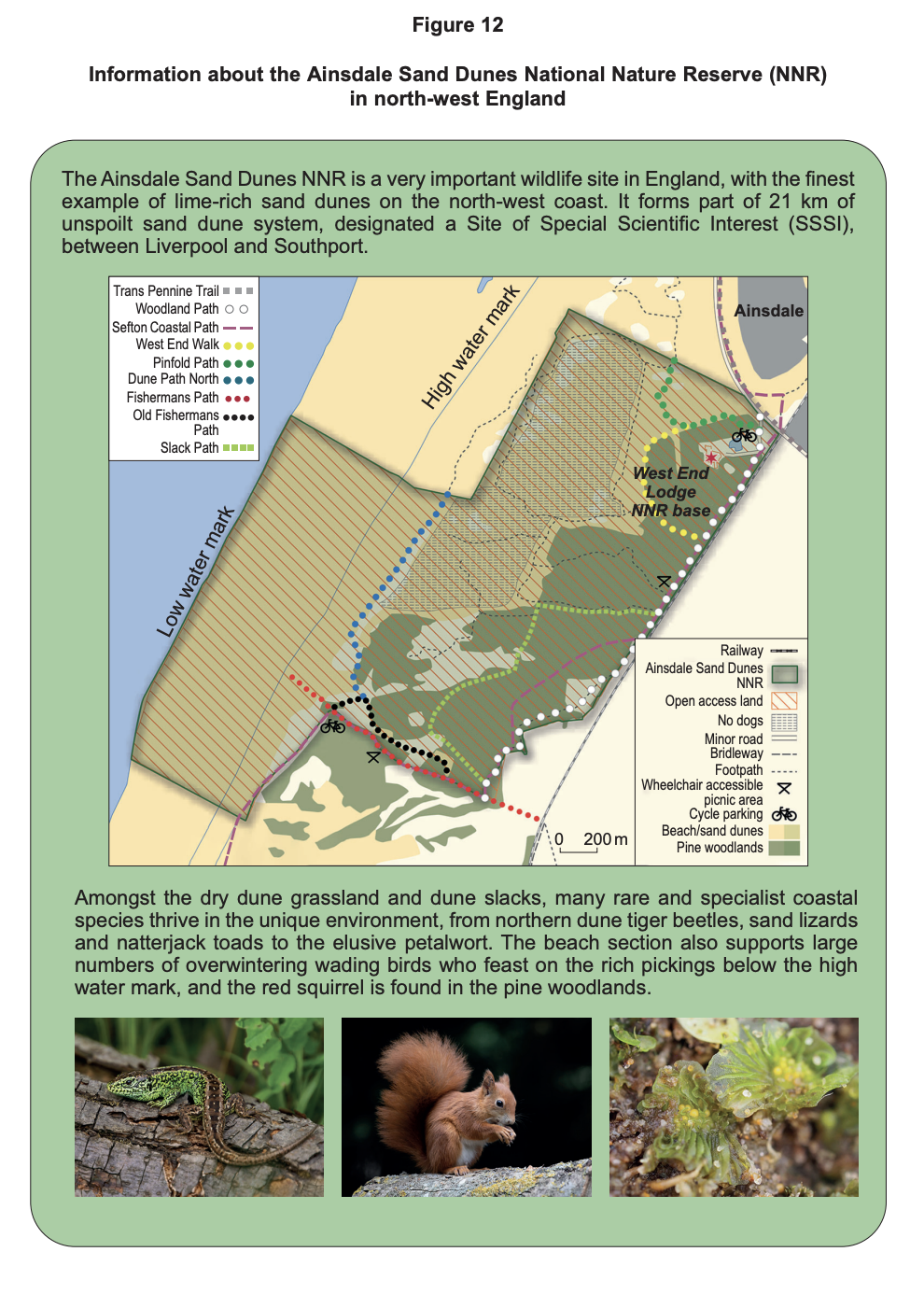 Educational poster on Ainsdale Sand Dunes NNR with map of paths, habitats and facilities, plus photos of a sand lizard, red squirrel and small dune plant