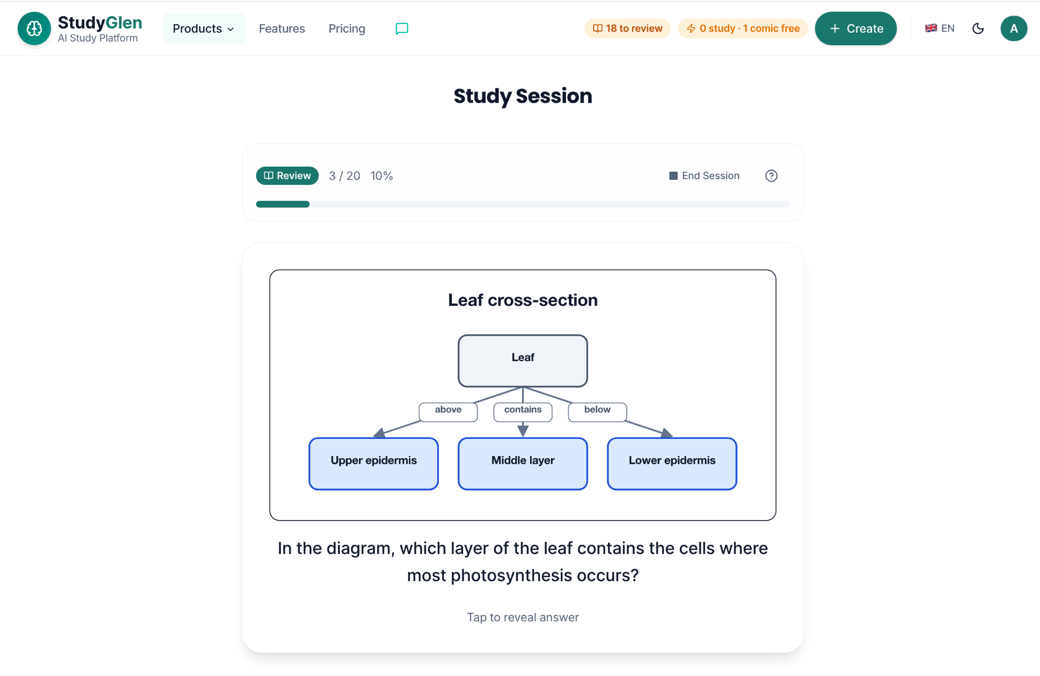 StudyGlen session screen showing a leaf cross-section flowchart with upper epidermis, middle layer and lower epidermis, plus a photosynthesis quiz question