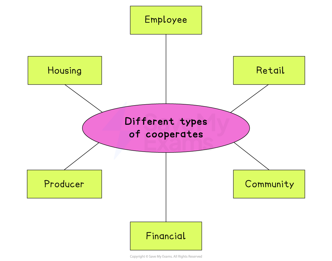 Diagram showing types of co-operatives: employee, retail, community, financial, producer and housing linked around a central pink oval title.