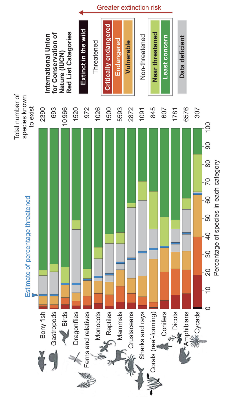 Information about global biodiversity by species category measured in 2019