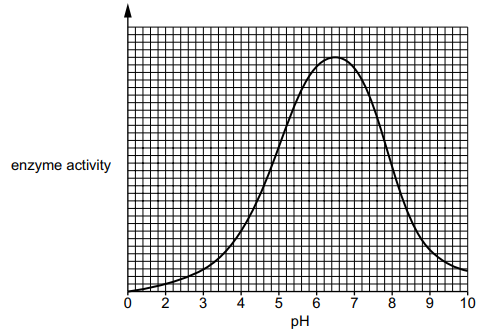 Graph showing enzyme activity versus pH, forming a bell-shaped curve that peaks at about pH 7 and decreases towards low and high pH values.