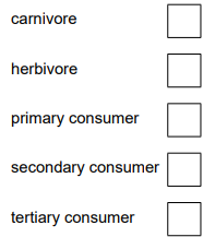 List of ecological roles with empty tick boxes: carnivore, herbivore, primary consumer, secondary consumer, tertiary consumer.