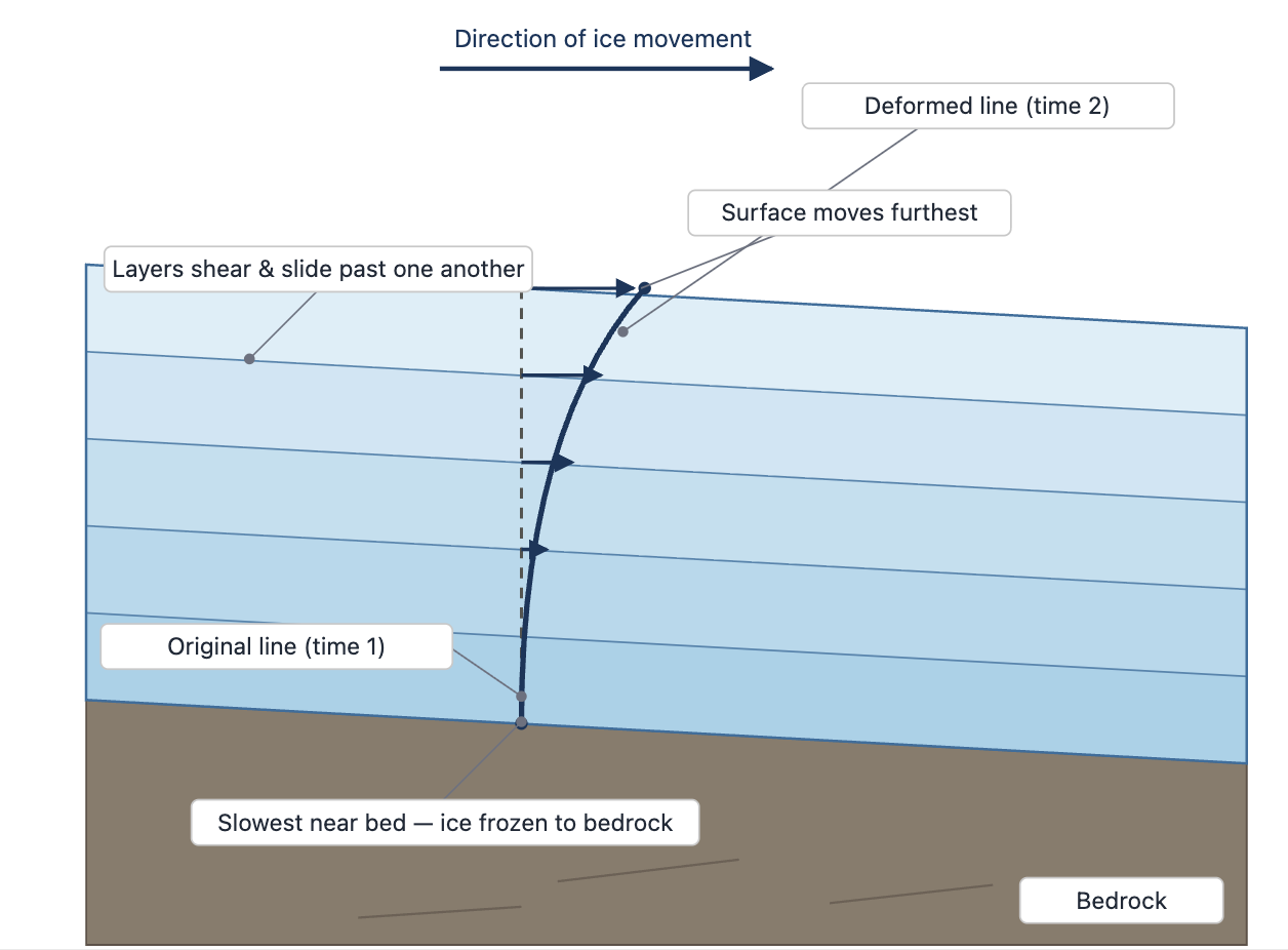 Diagram of glacier cross-section showing ice layers shearing, surface ice moving fastest, base ice frozen to bedrock, and a vertical line bending with flow
