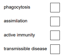 Biology question list with four terms—phagocytosis, assimilation, active immunity, transmissible disease—each followed by an empty square tick box