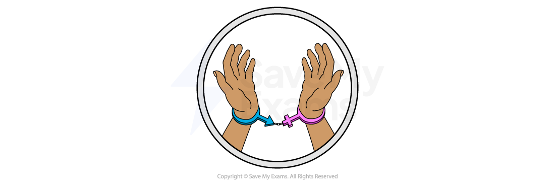Symbol for Gender and the female body: Illustration of two raised hands in blue and pink handcuffs linked together inside a circular frame, symbolising restriction or being bound.