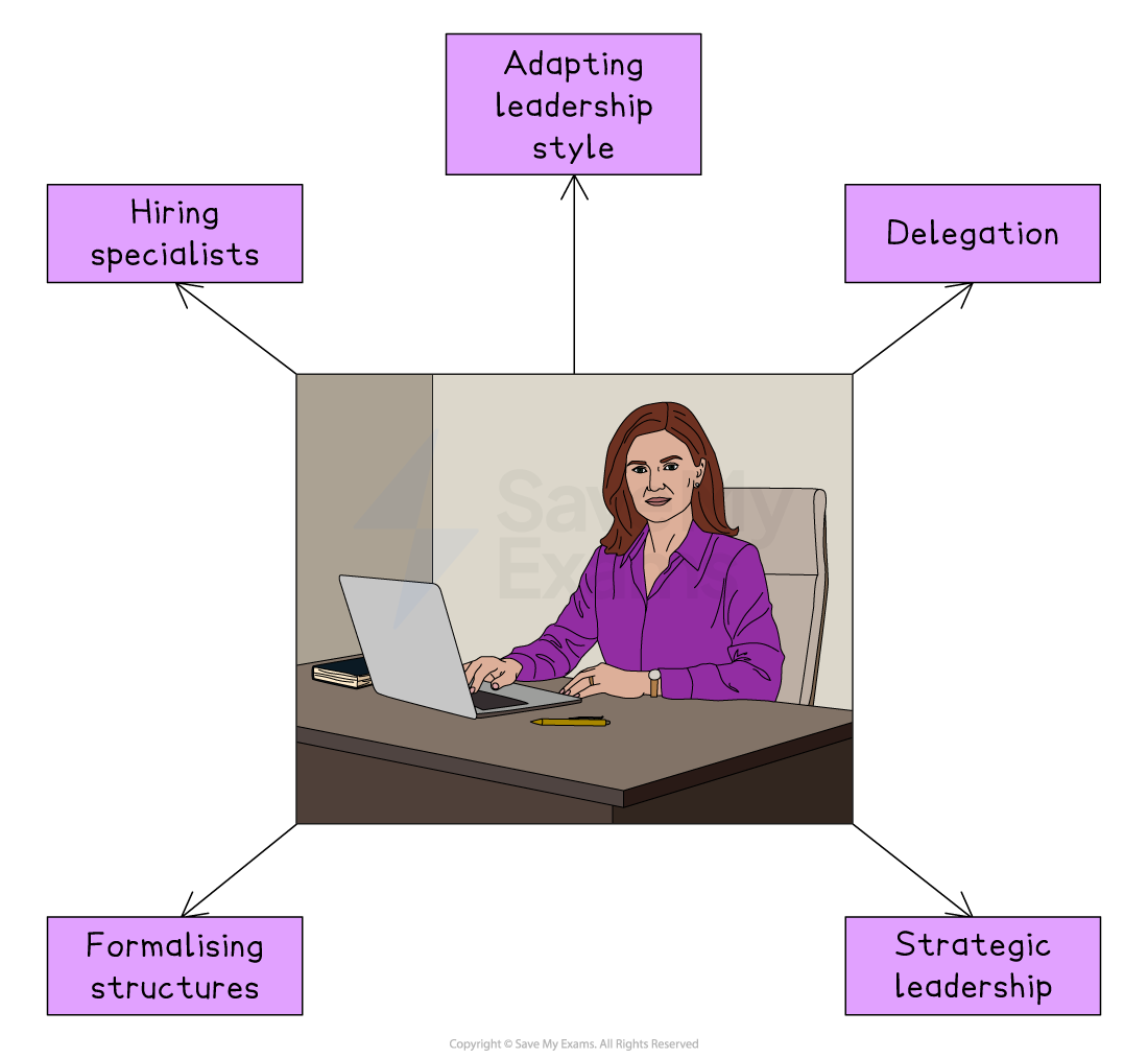 Diagram of a businesswoman at a desk with laptop, linked boxes showing leadership tasks: adapting style, delegation, hiring specialists, formalising structures, strategy