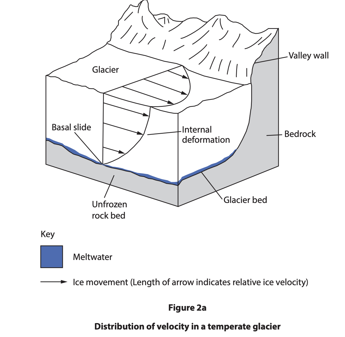 Diagram of a temperate glacier showing basal sliding, internal deformation, meltwater on an unfrozen rock bed, and velocity arrows within a U-shaped valley