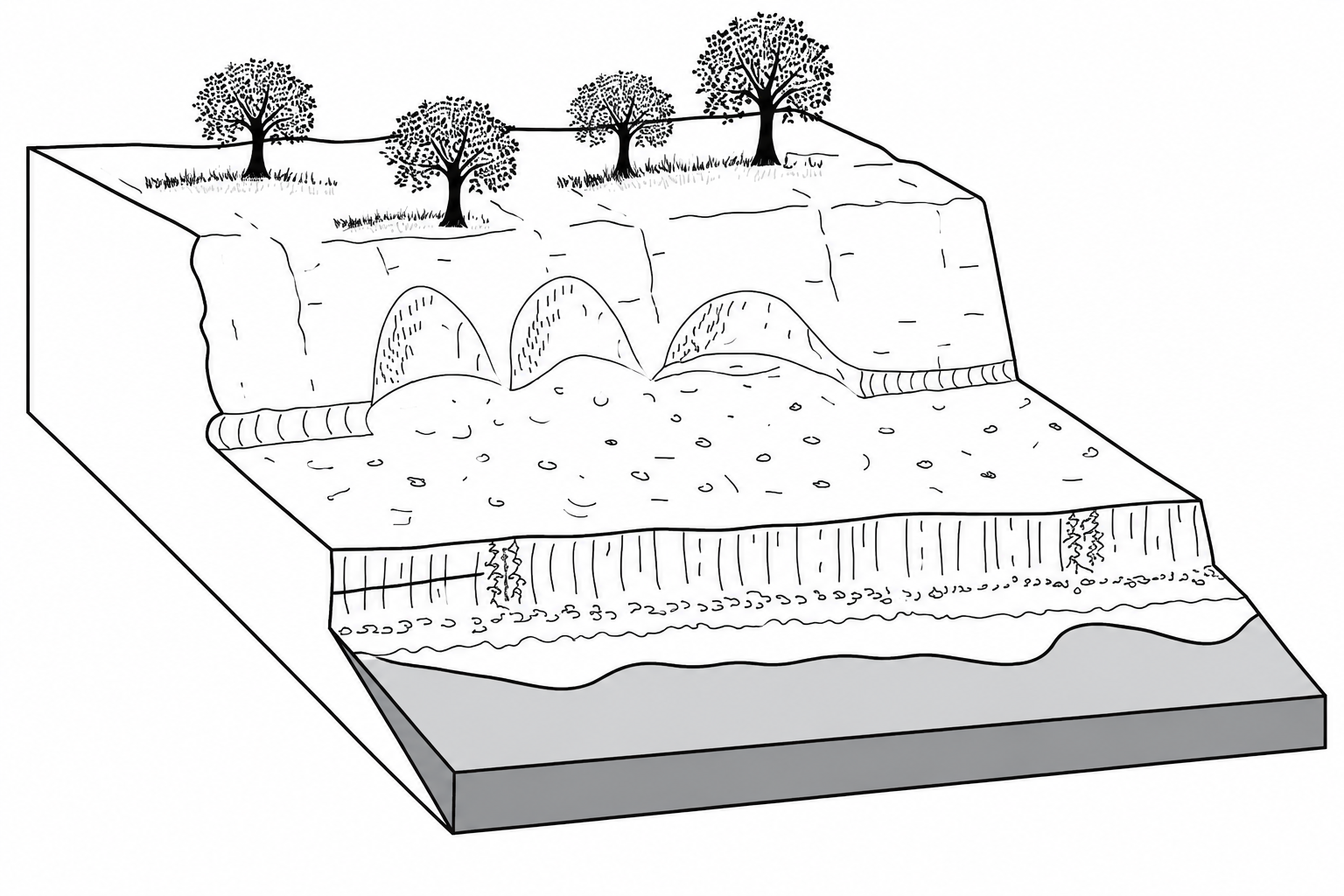 Diagram of a landscape cross-section showing trees, layered rock, underground caves and arches, and a river flowing through and beneath the surface
