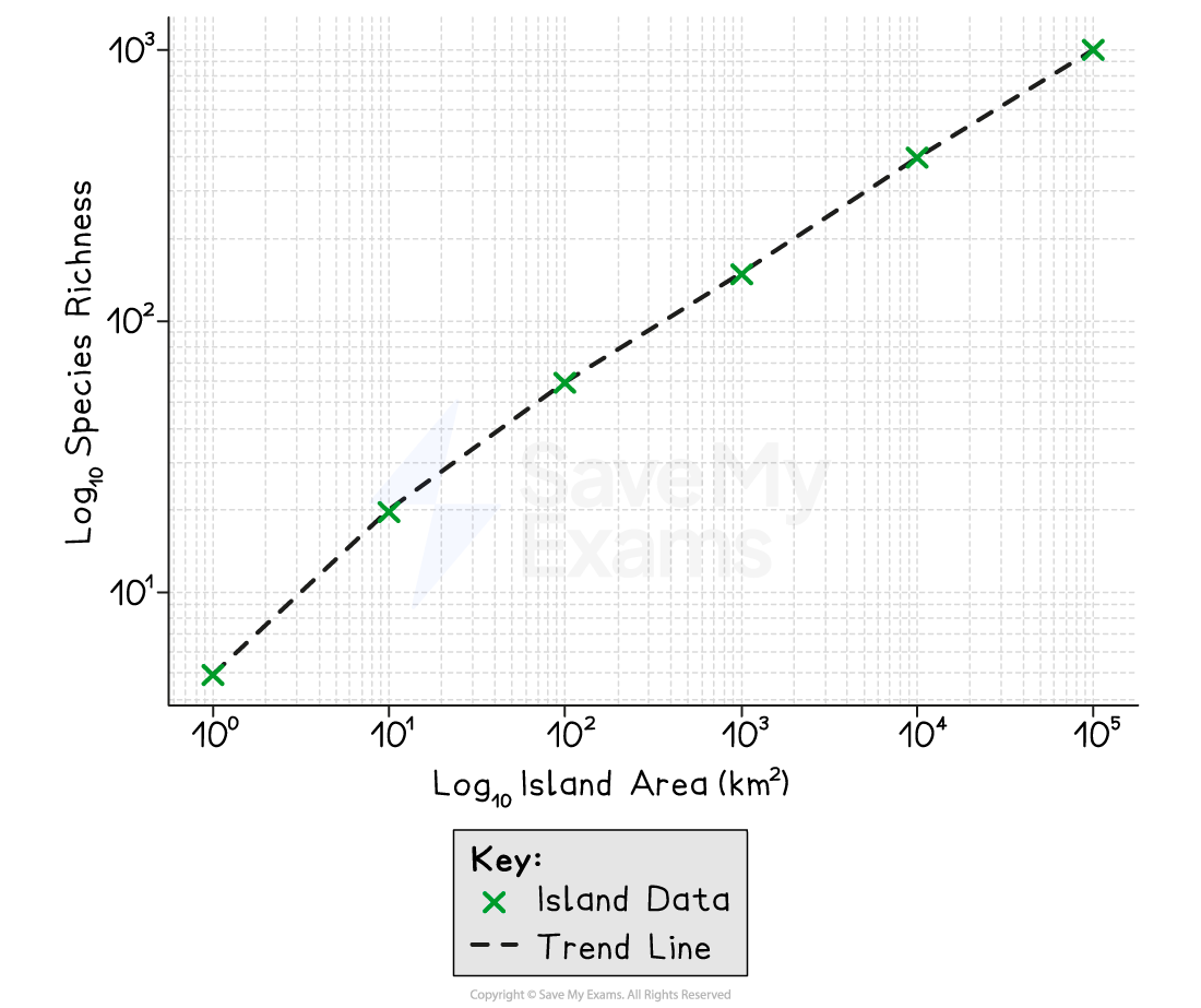 Graph showing a positive trend of species richness against island area on a log scale. Blue crosses represent data; dashed line is the trend.
