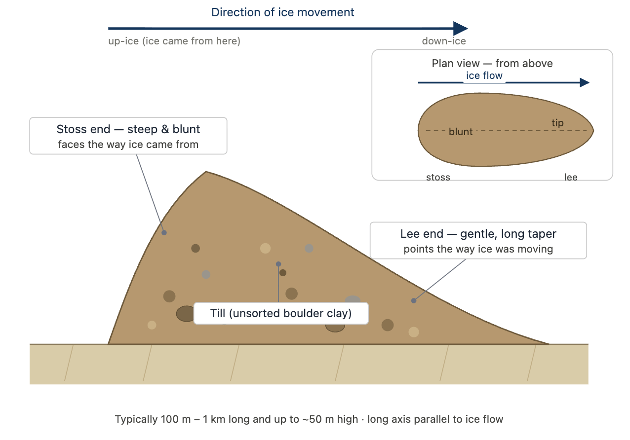Diagram of a drumlin of till, with a steep blunt stoss end facing incoming ice and a gently tapering lee end pointing in the direction of ice flow.