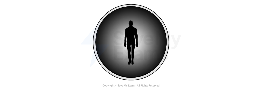 Black silhouette of a standing human figure centred in a circular frame with a grey gradient background, symbolising isolation.