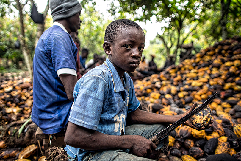 Boy in worn blue shirt holding a long knife, seated by a man amid a large pile of cocoa pods on a farm in a lush tropical forest