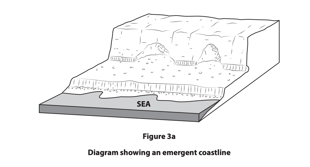 3D geography diagram of an emergent coastline, showing raised wave-cut platforms, former sea cliffs and current sea level at the foot of uplifted land