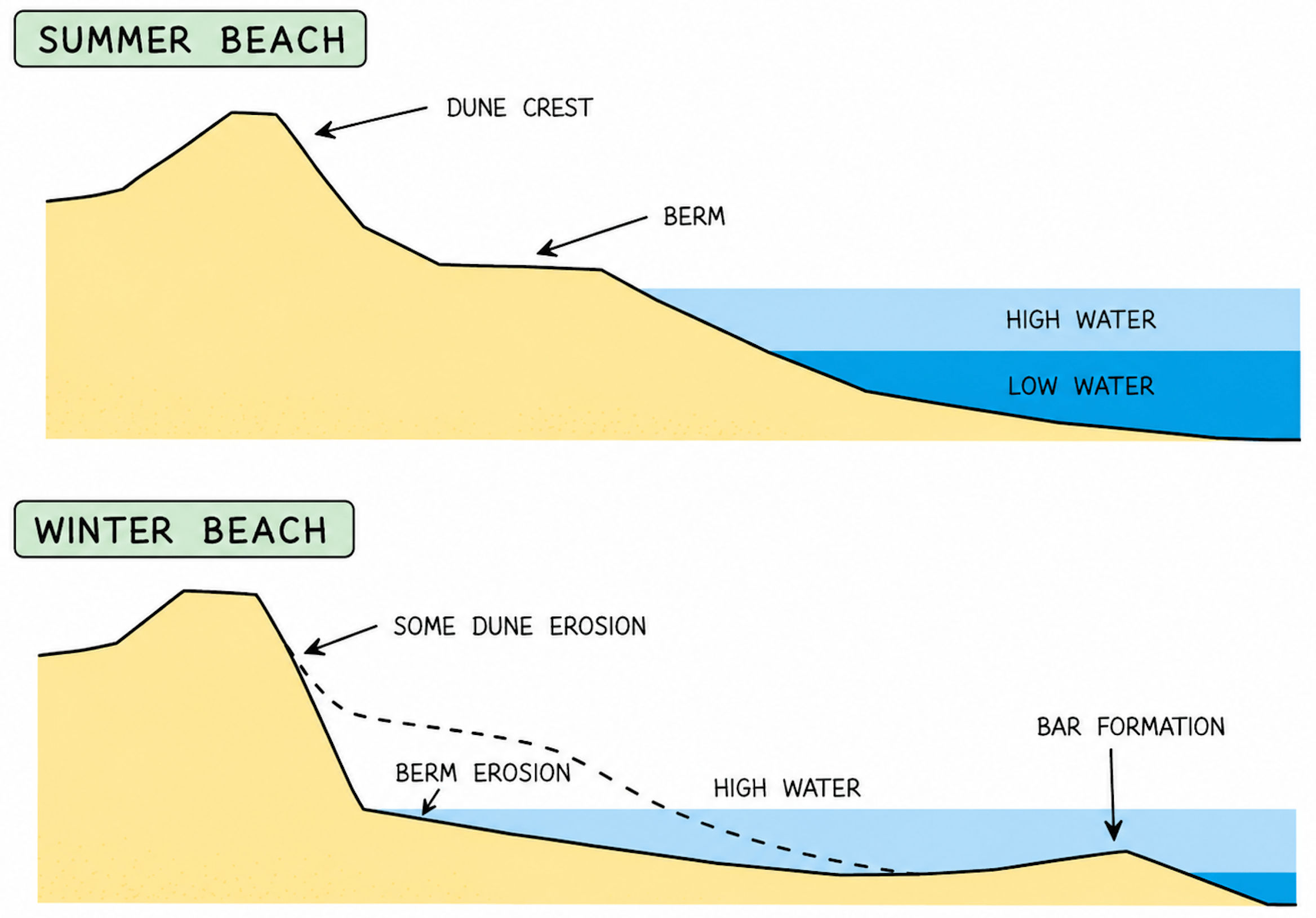 Image showing a winter and summer beach profile