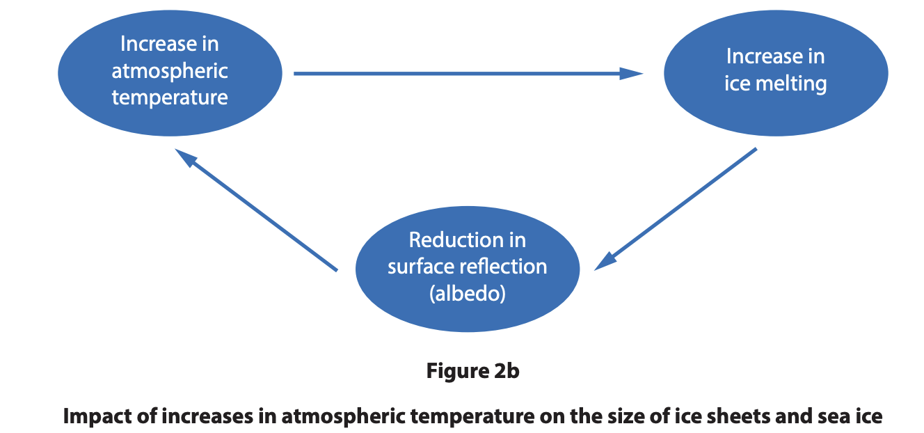 Diagram of warming feedback loop: higher atmospheric temperature increases ice melting, lowering surface reflection (albedo), which further increases temperature