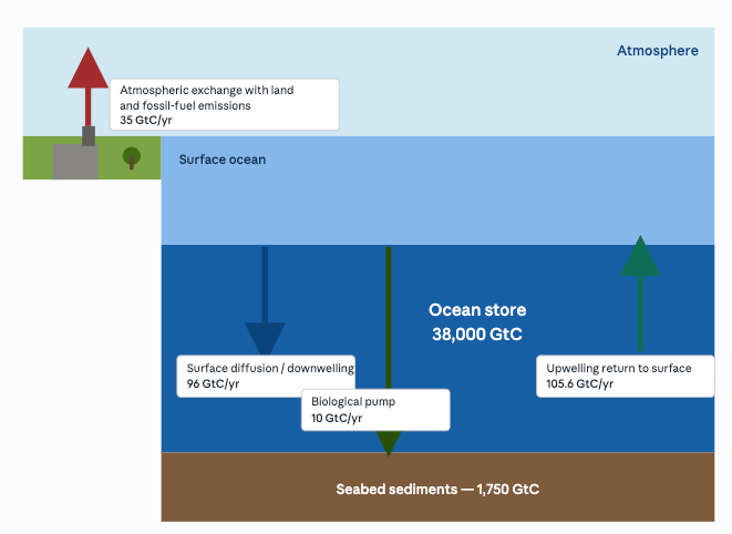 Diagram of the ocean carbon cycle showing atmospheric emissions, surface ocean, deep ocean store, seabed sediments, and labelled carbon fluxes with values