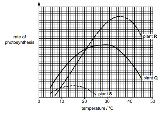 Graph showing rate of photosynthesis versus temperature for plants Q, R and S, with each curve rising to an optimum then falling, R peaking at highest temperature