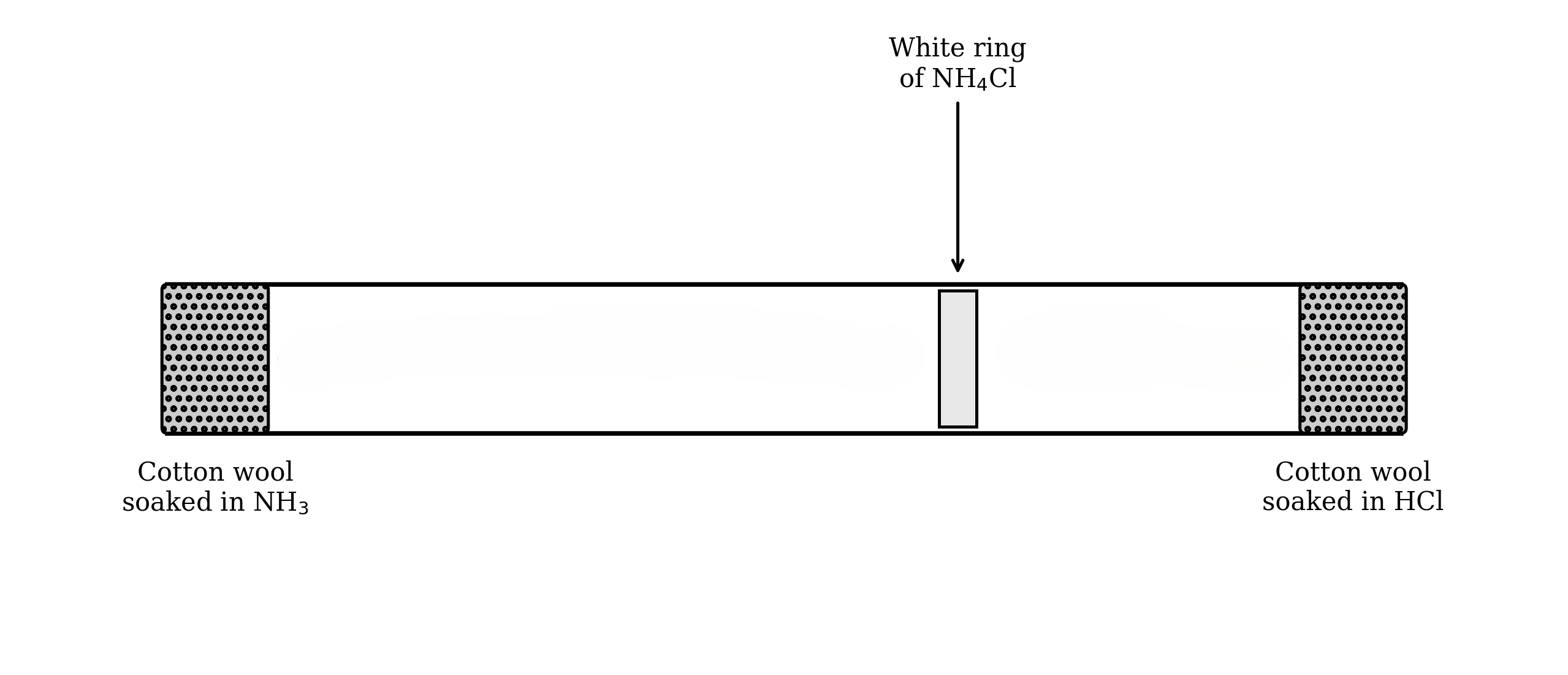 Diagram of a horizontal tube with NH₃ and HCl diffusing from soaked cotton wool ends, forming a white NH₄Cl ring closer to the HCl side