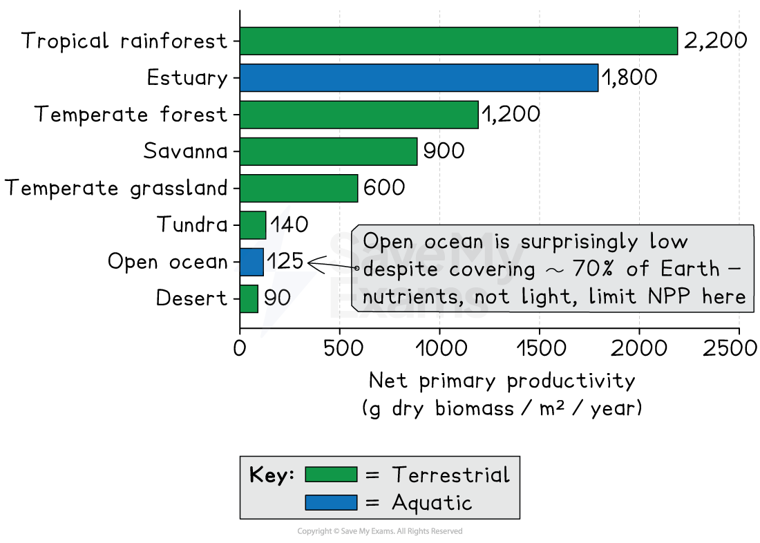 Bar chart comparing net primary productivity: tropical rainforest highest, then estuary, temperate forest, savanna, grassland; tundra, open ocean and desert lowest.