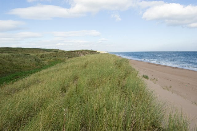 Sandy beach bordered by tall green dunes under a bright sky with scattered clouds, with gentle waves breaking along the shoreline