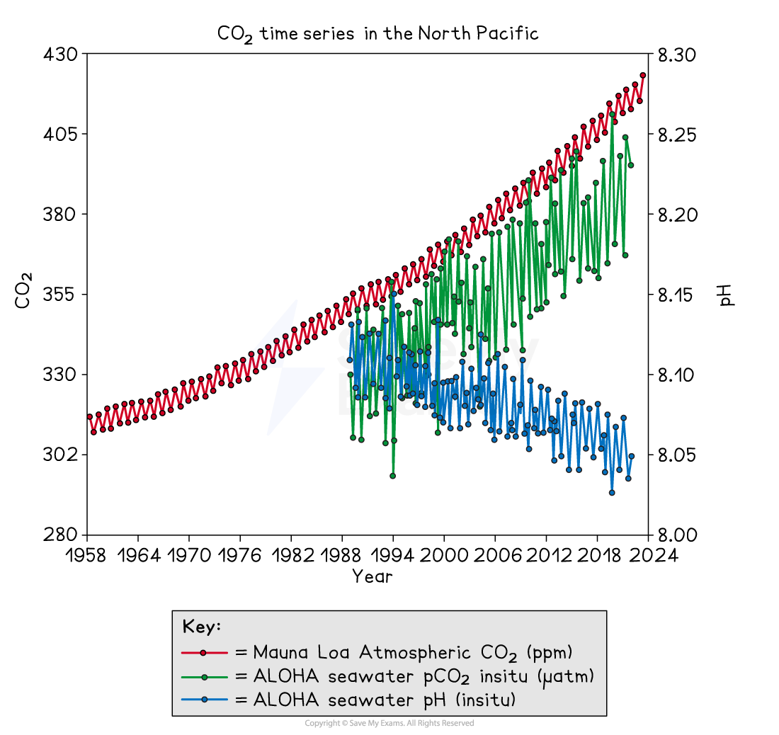 Graph of rising atmospheric and seawater CO₂ in the North Pacific from 1958–2024, with seawater pH gradually declining as CO₂ levels increase.