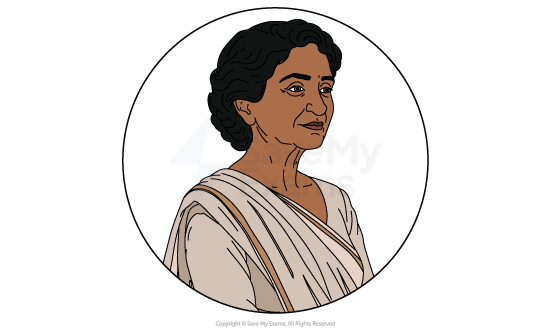 Image of Nanda Kaul from Fire on the Mountain: she is an elderly Indian woman with short wavy hair, wearing a cream sari, shown from the chest up in profile inside a circular frame.