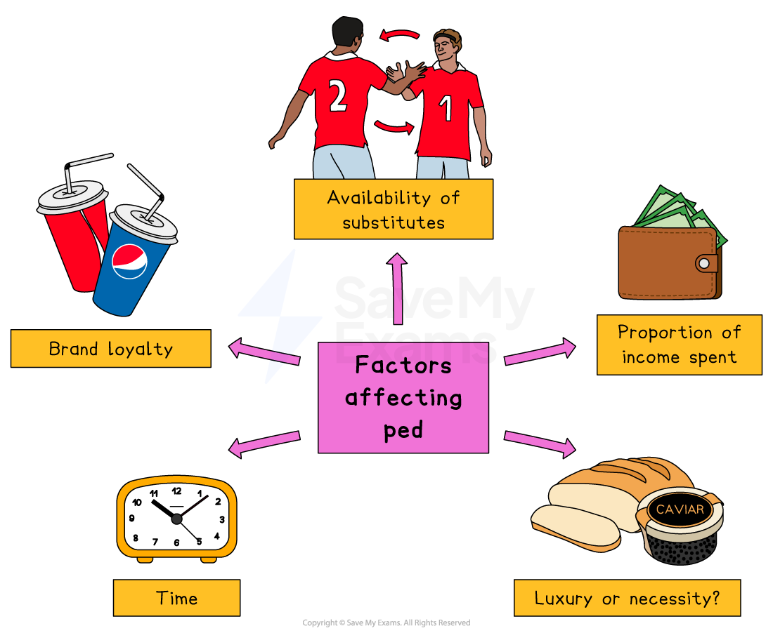 Diagram illustrating factors affecting Price Elasticity of Demand (PED): brand loyalty, substitutes, income spent, time, and luxury versus necessity.
