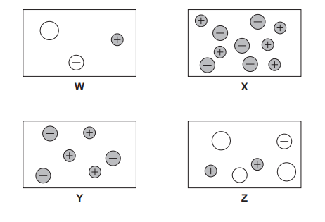 Four models labelled W, X, Y and Z showing particles in containers. Each model shows different numbers and types of particles (ionised and un-ionised) representing different acids at different concentrations.