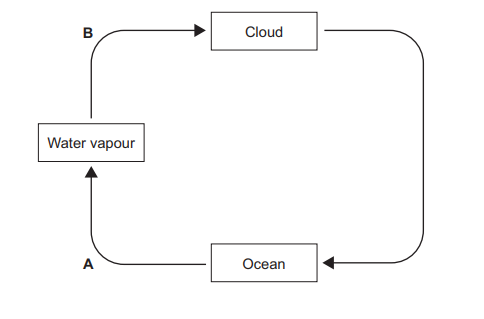 Figure 4: water cycle diagram with three labelled boxes — Water vapour, Cloud and Ocean. Arrow A goes from Ocean to Water vapour. Arrow B goes from Water vapour to Cloud. A further arrow goes from Cloud to Ocean (precipitation).