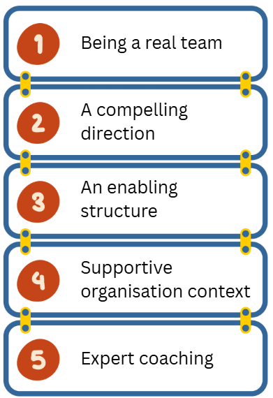 Infographic listing five team success factors: being a real team, a compelling direction, an enabling structure, supportive organisation context, and expert coaching