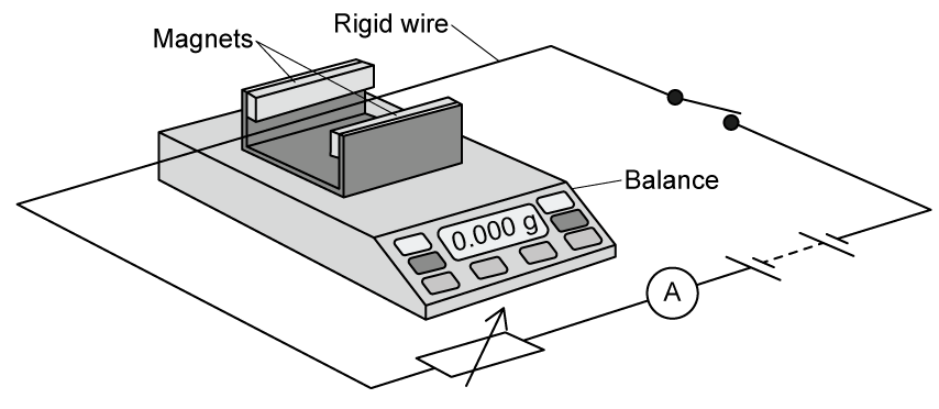 A U-shaped permanent magnet sits on a top-pan balance. A rigid horizontal wire passes through the gap between the poles, perpendicular to the magnetic field, and is connected in series with a switch, an ammeter and a variable resistor.