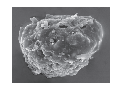 Figure 7: electron-microscope image of an irregular, rough-surfaced soot particle.