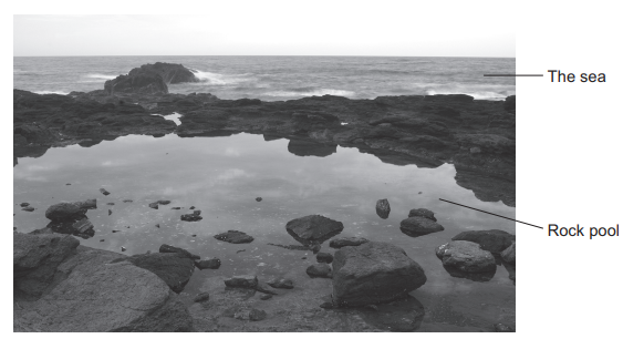 Figure 10: a rocky sea shore with a calm rock pool in the foreground and the sea behind it. Labels point to the sea and to the rock pool.