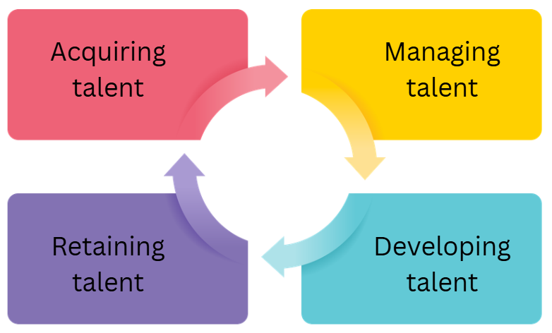 Diagram of a circular talent lifecycle: acquiring, managing, developing and retaining talent shown in four coloured boxes linked by arrows